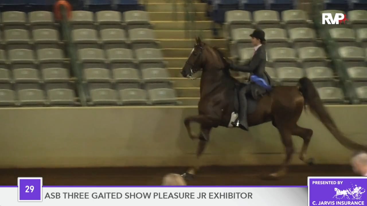 SSFF18 - Class 29 - The Bellmaster