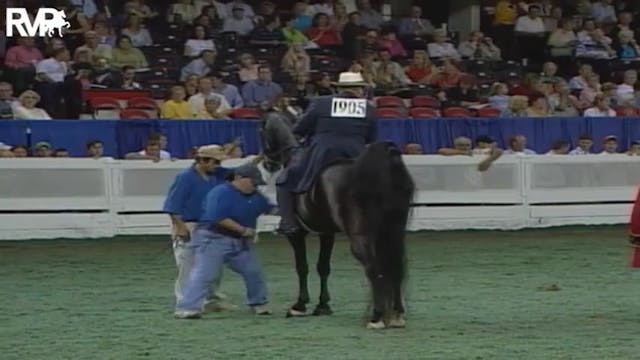 2004 World's Championship Horse Show ...