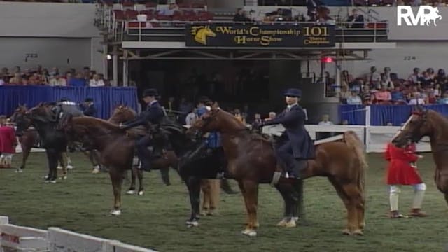 2004 World's Championship Horse Show ...