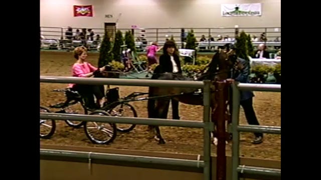 2001 Nebraska Charity - Harness Pony ...