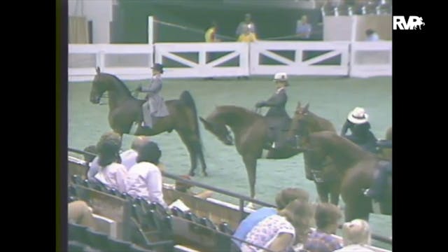 1988 WCHS Class 78 Equitation UPHA Wa...