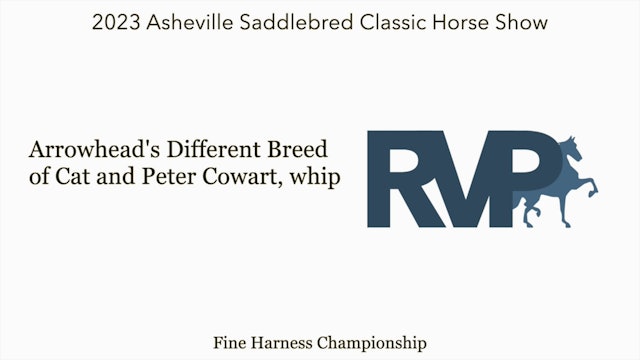 ASC23 - Class 136 - Arrowhead's Different Breed of Cat and Peter Cowart, whip