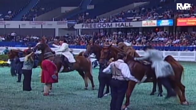 2009 World's Championship Horse Show ...