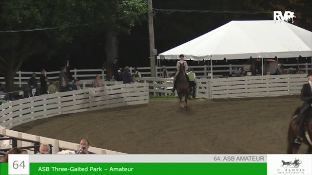RC22 - Class 64 -   ASB Amateur Three...