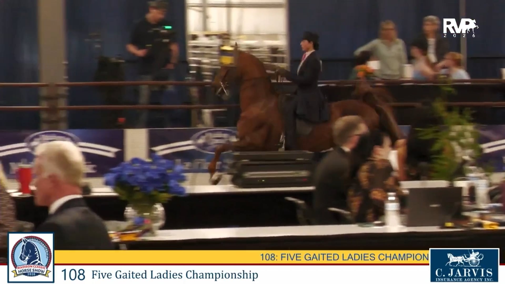 MC26 - Class 108 - Five Gaited Ladies Championship