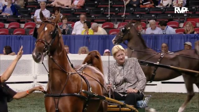 2012 WCHS - Class 95 ASR Futurity Of ...