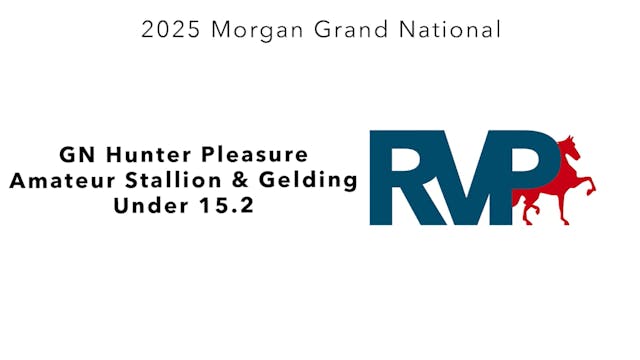 MGN25 - Class 323 - GN Hunter Pleasur...