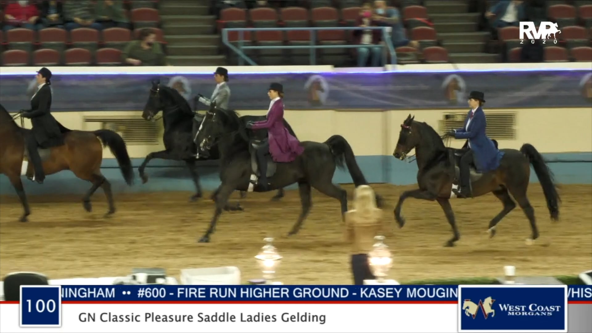 2020 MGN - Class 100 GN Classic Pleasure Saddle Ladies Gelding