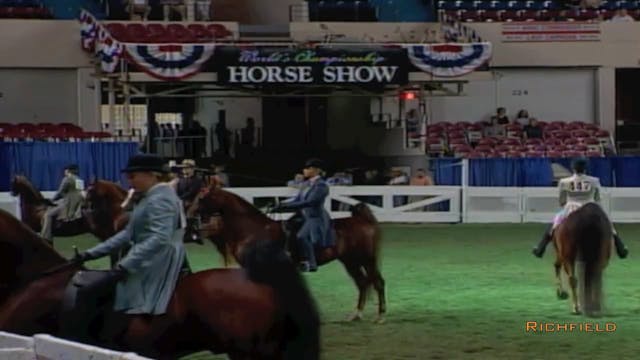 2002 WCHS Class 22 Three Gaited Ponie...