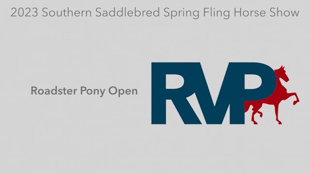 SSSF23 - Class 15 - Roadster Pony Open