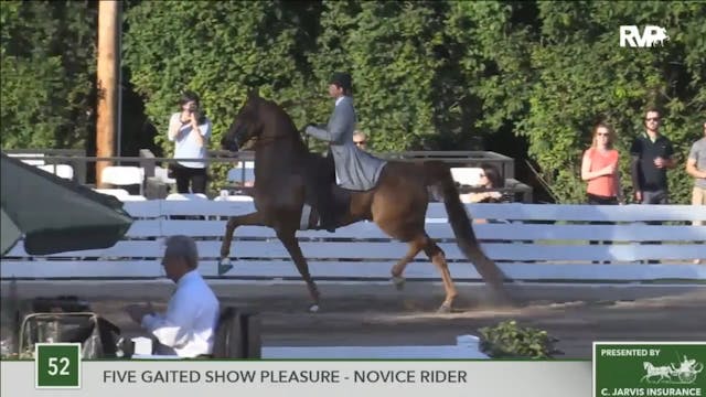 2016 RC - Class 52 Five Gaited Show P...