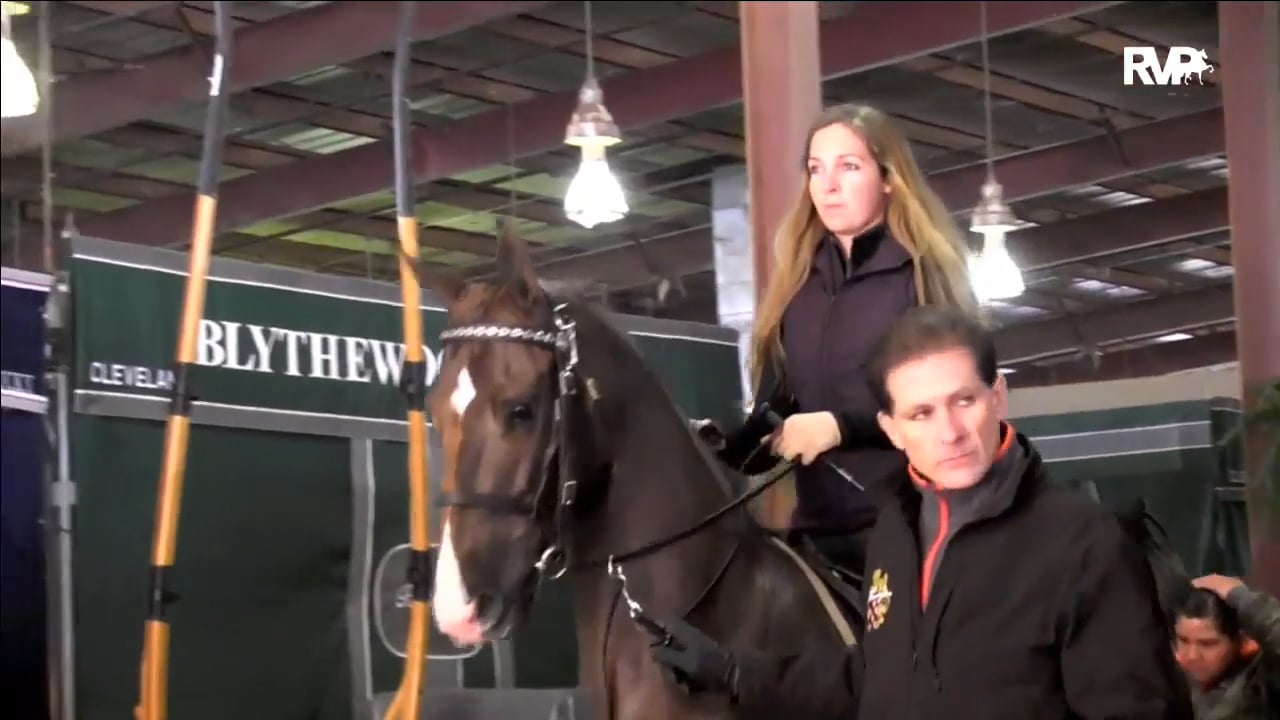 FF17 - Saturday Evening