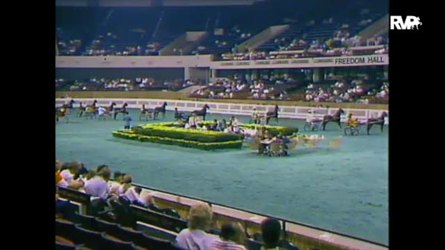 1988 WCHS Class 19 AHHS Futurity Thre...