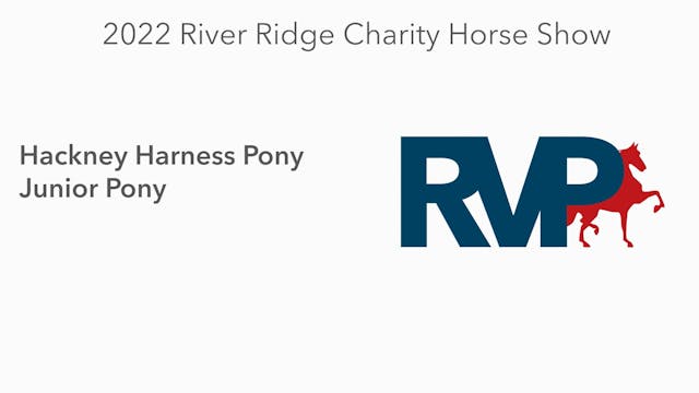 RR22 - Class 15.1 -  Hackney Harness ...
