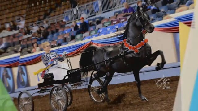 2017 MGN - Coliseum - Sunday Evening
