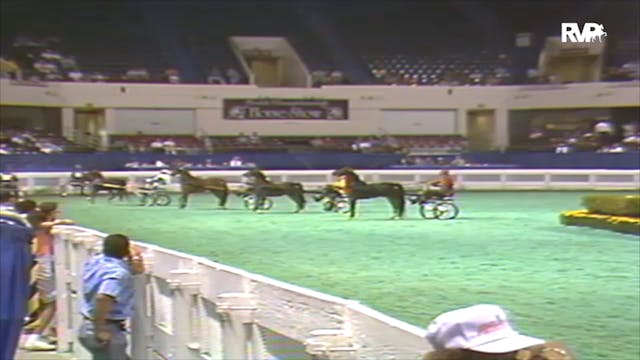 1992 WCHS Class 61 Road Pony Stallion...