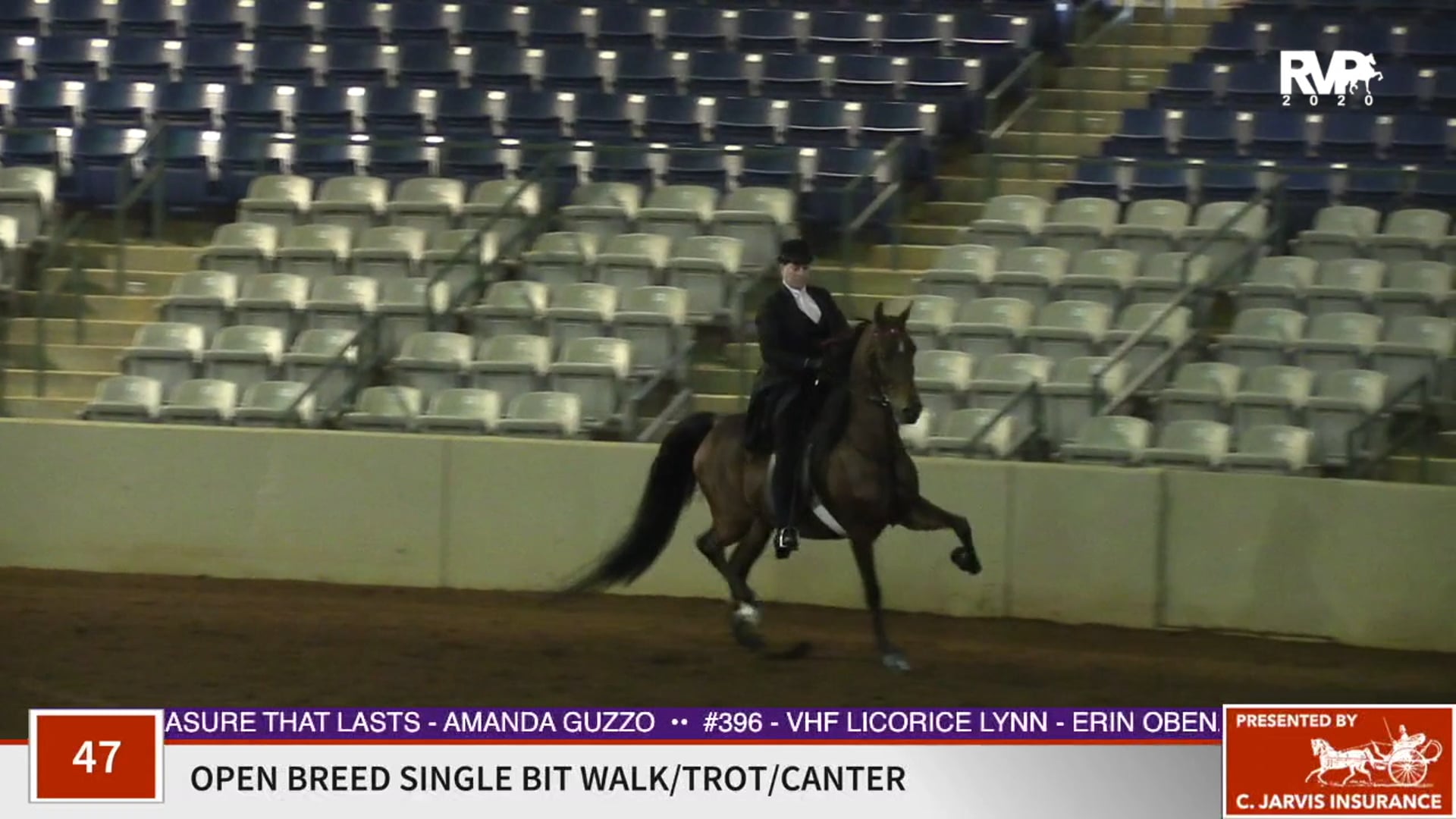 2020 SSFF - Class 47 Open Breed Single Bit Walk:Trot:
Canter