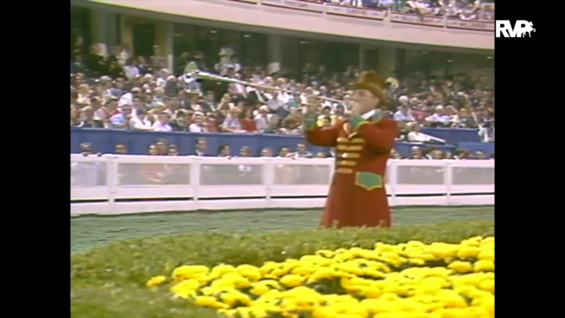 1993 WCHS Class 172 Three Gaited Grand Championship