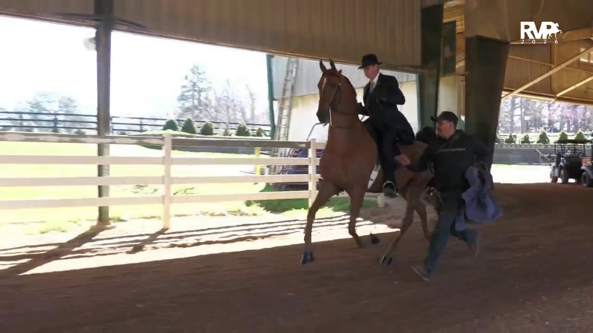 RSP26 - Class 83 - ASB Three Gaited Park Jr-Limit Horse