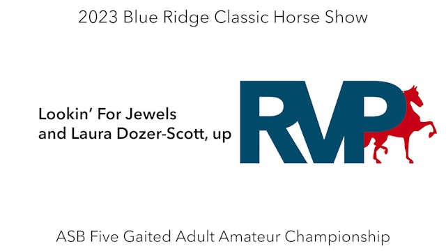 BR23 - Class 219 - Lookin’ For Jewels and Laura Dozer-Scott, up