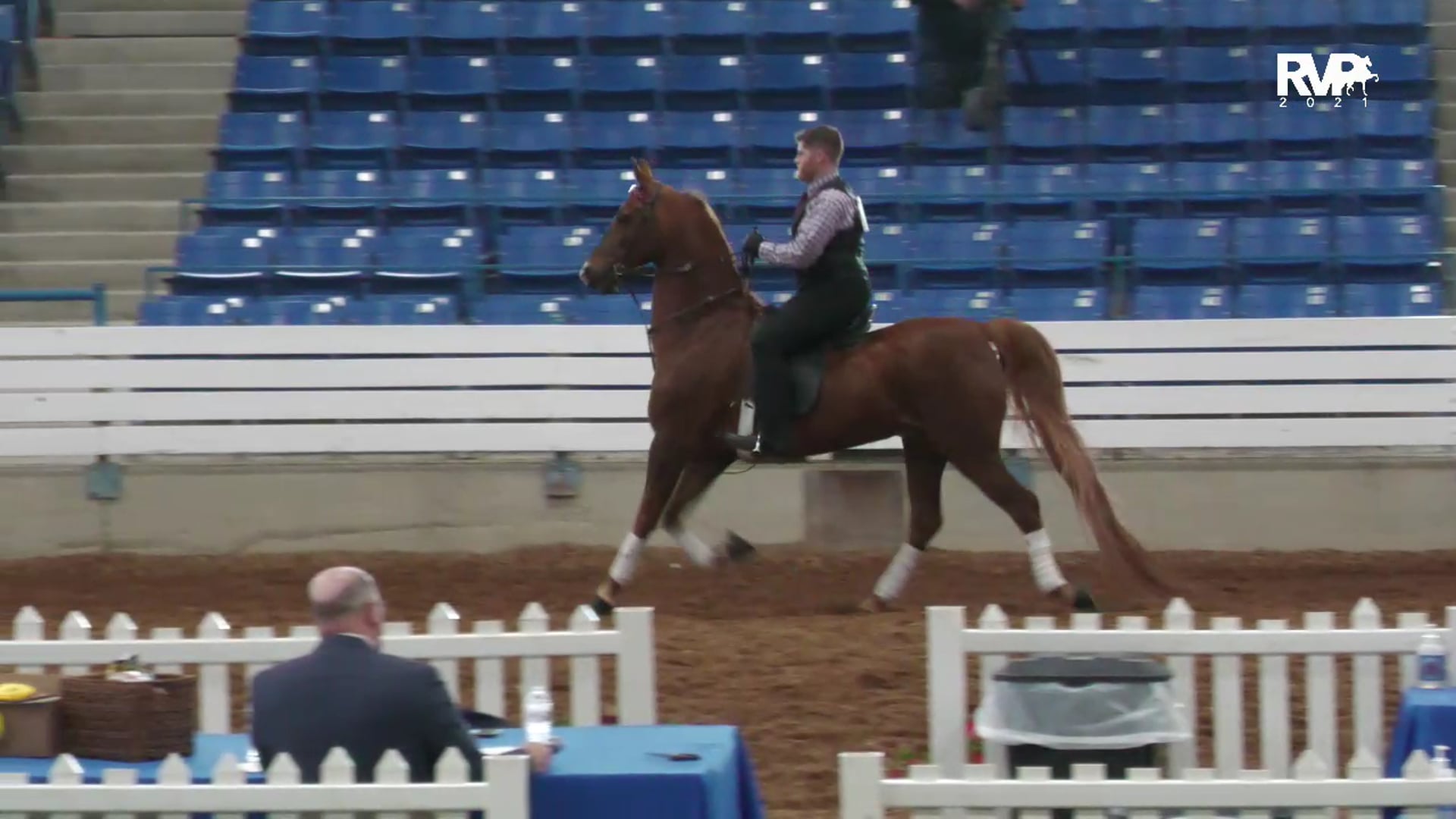 2021 Southern Saddlebred Spring Fling Horse Show - Saturday Academy