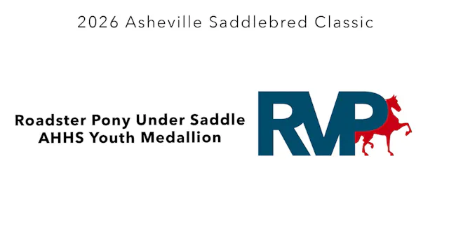 ASC26 - Class 55 - Roadster Pony Unde...