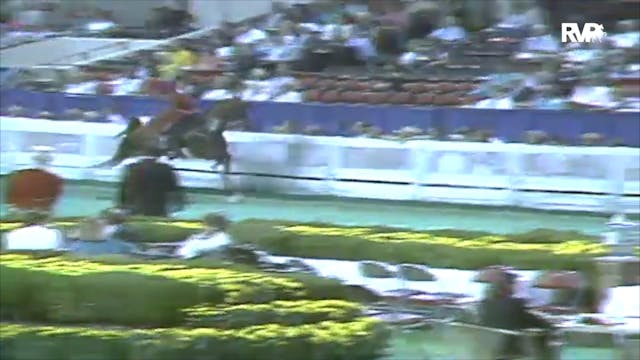1991 WCHS Class 10 Five Gaited Pleasu...