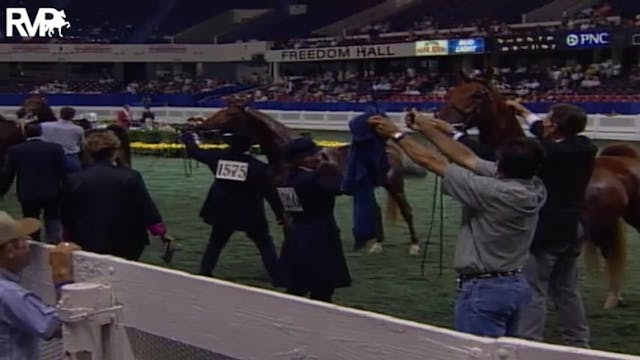 2004 World's Championship Horse Show ...