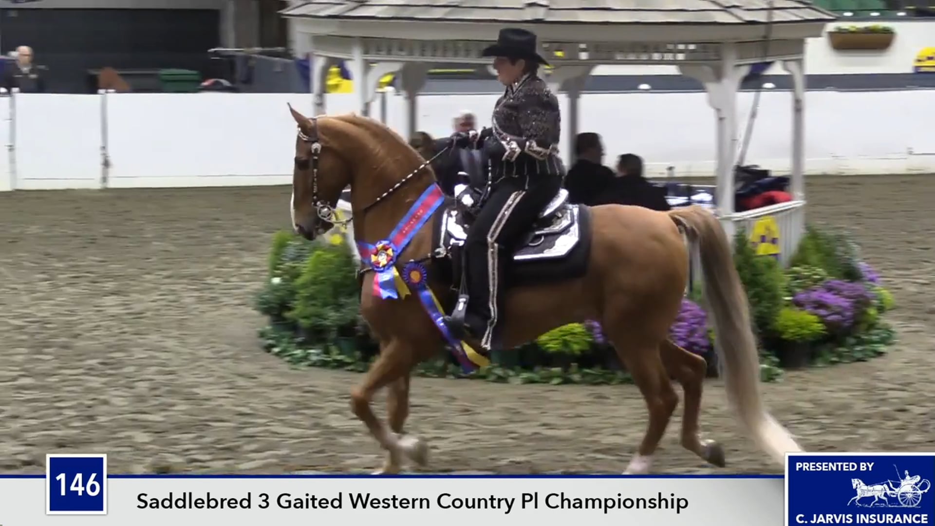 UPHACh14 17 - CH Charming In Blue - Championship