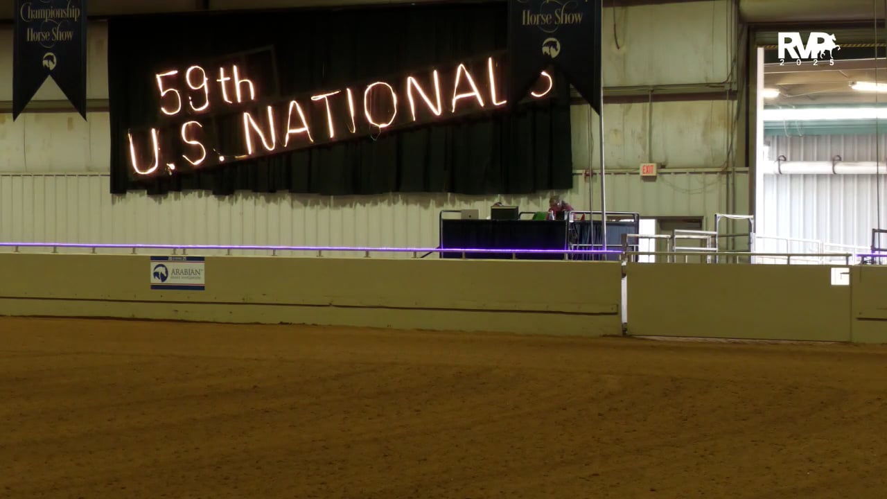 2025 Arabian Nationals - Monday Evening - Mustang