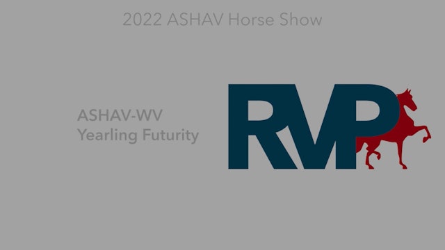 ASHAV22 - Class 101 - ASHAV-WV Yearling Futurity