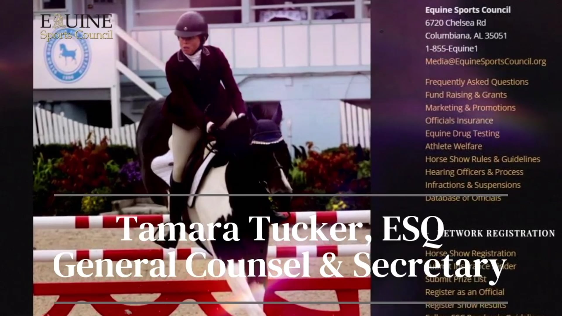 2020 Southern Saddlebred Fall Finale - Thursday Evening 