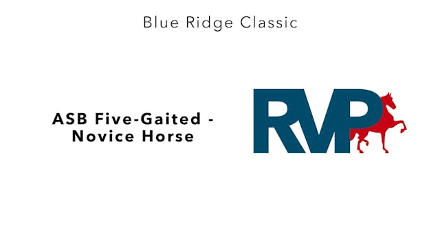 BR24 - Class 95.1 - ASB Five-Gaited -...