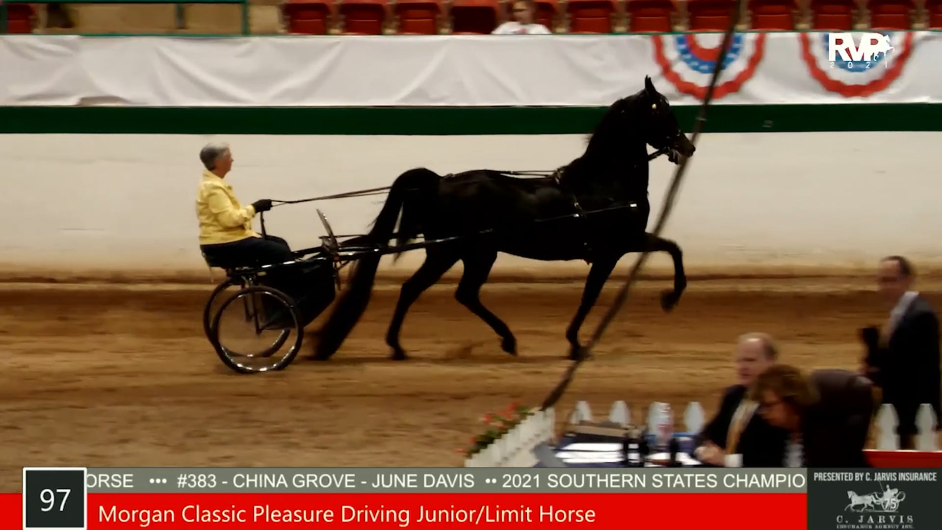 SS21 - Class 97 - Morgan Classic Pleasure Driving Junior-Limit Horse