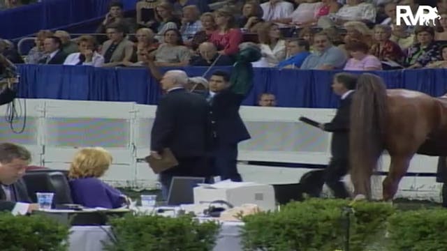 2004 World's Championship Horse Show ...