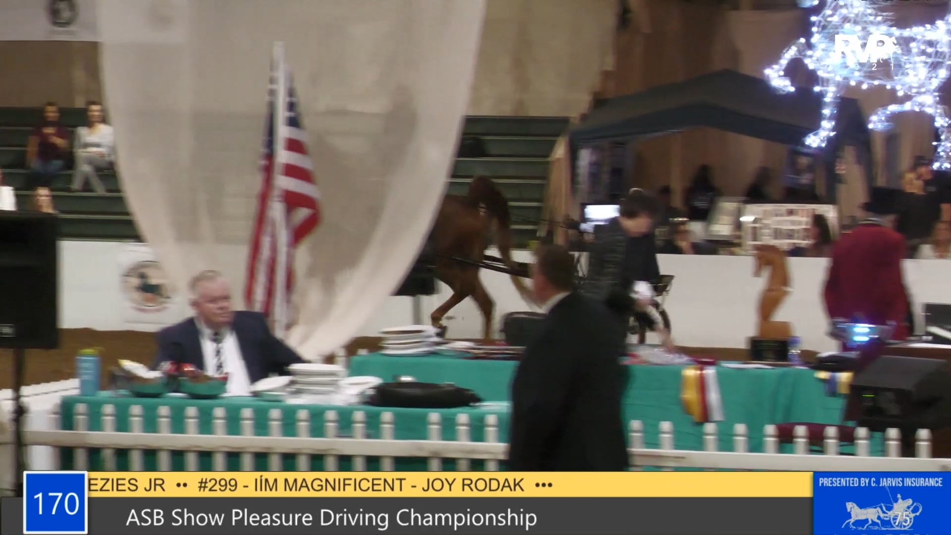 GASP21 - Class 170 - ASB Show Pleasure Driving Championship