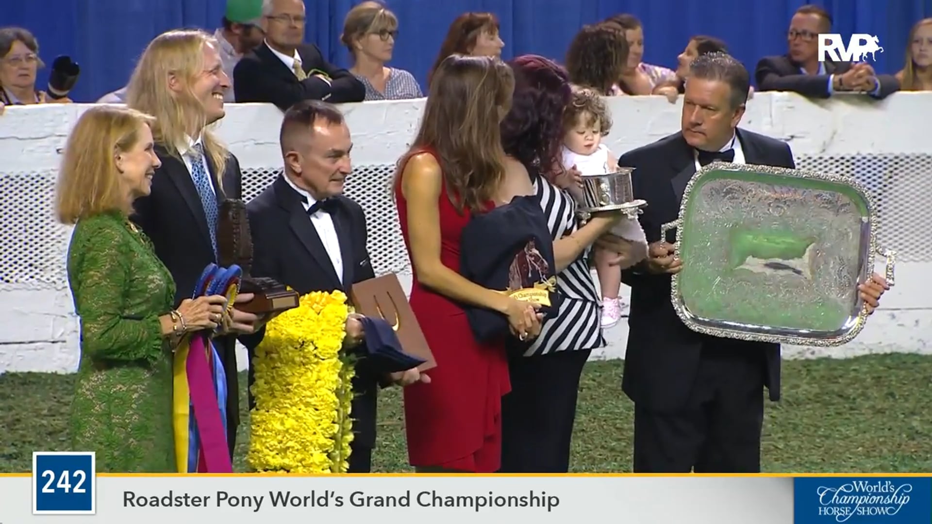 WCHS16 - Twin Willow's McDreamy - Grand Championship