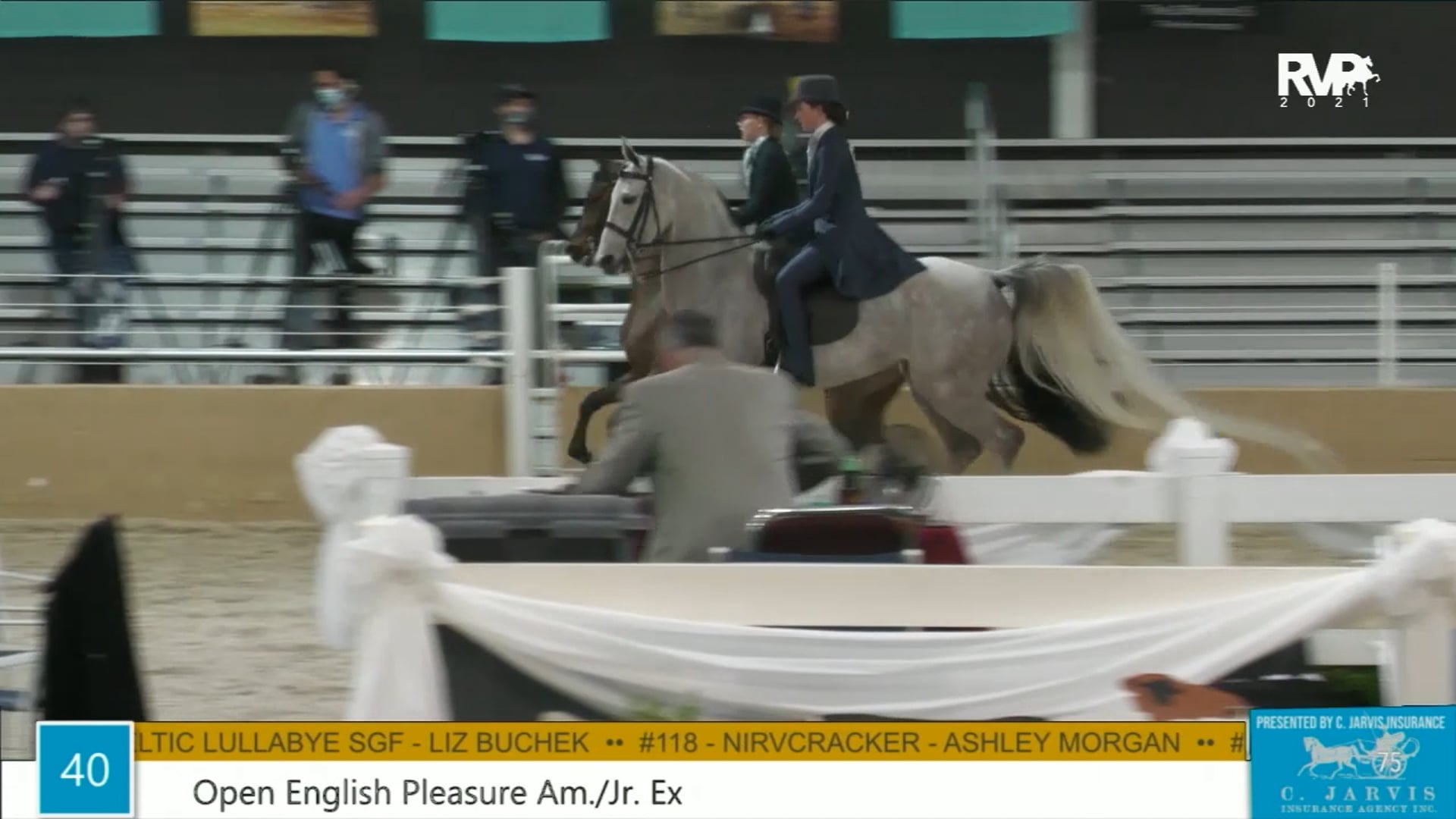 BS21 - Class 40 - Open English Pleasure Amateur or Junior Exhibitor