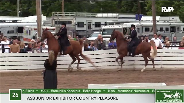 2017 RC - Class 26 ASB Junior Exhibit...