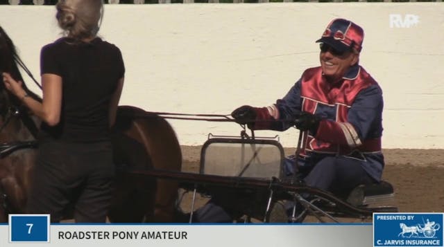KYSP20 - Class 7 Roadster Pony Amateur 