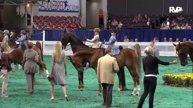 2012 WCHS - Class 112.1 Equitation Op...