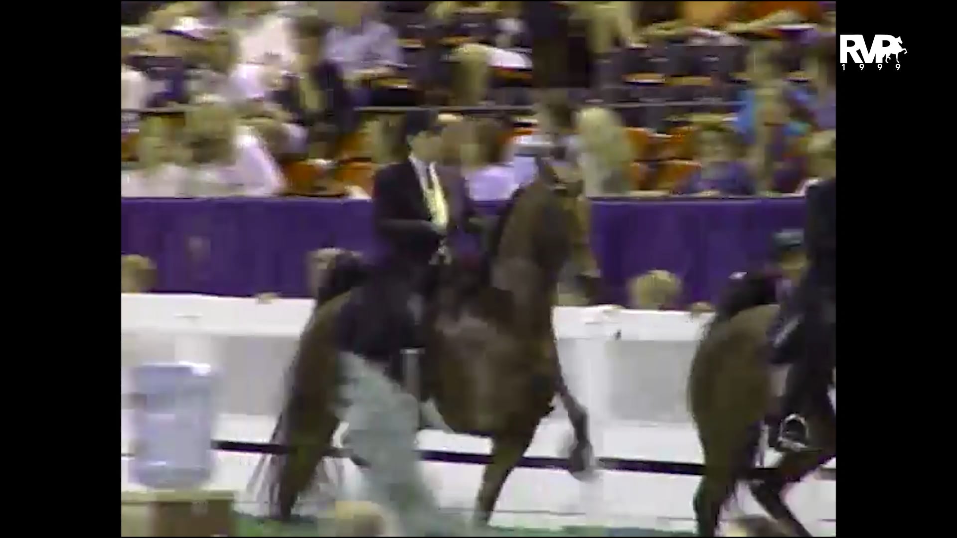 1999 WCHS - Class 38 ASB Open Park Horse Three Gaited Mares
