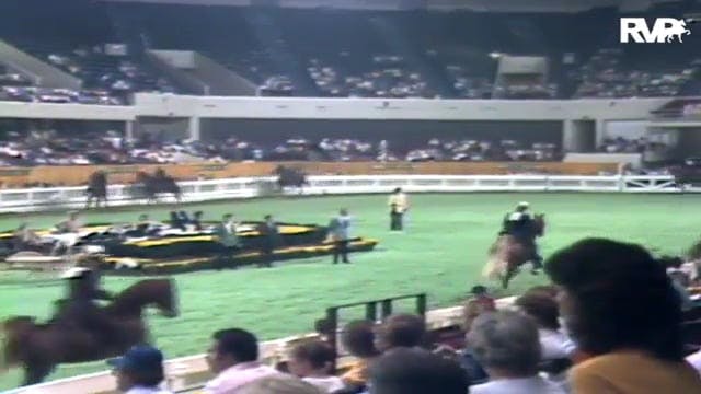 1986 WCHS Class 45 Junior Five Gaited...