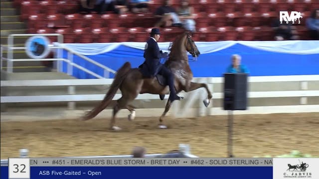 BR22 - Class 32 - ASB Five Gaited Open