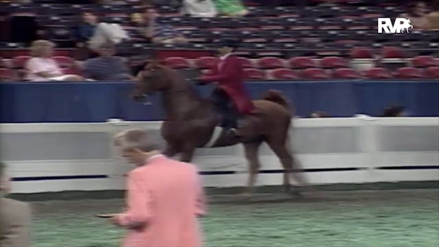 2000 WCHS Class 30 Five Gaited Pony R...