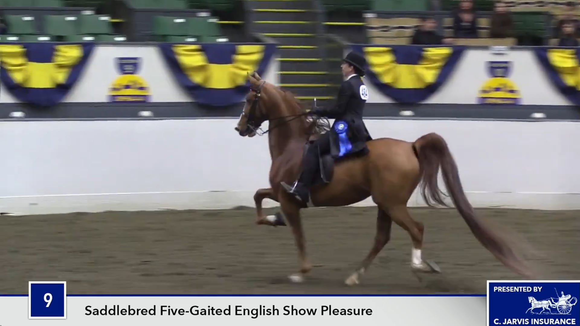 UPHACh14 17 - Novella 