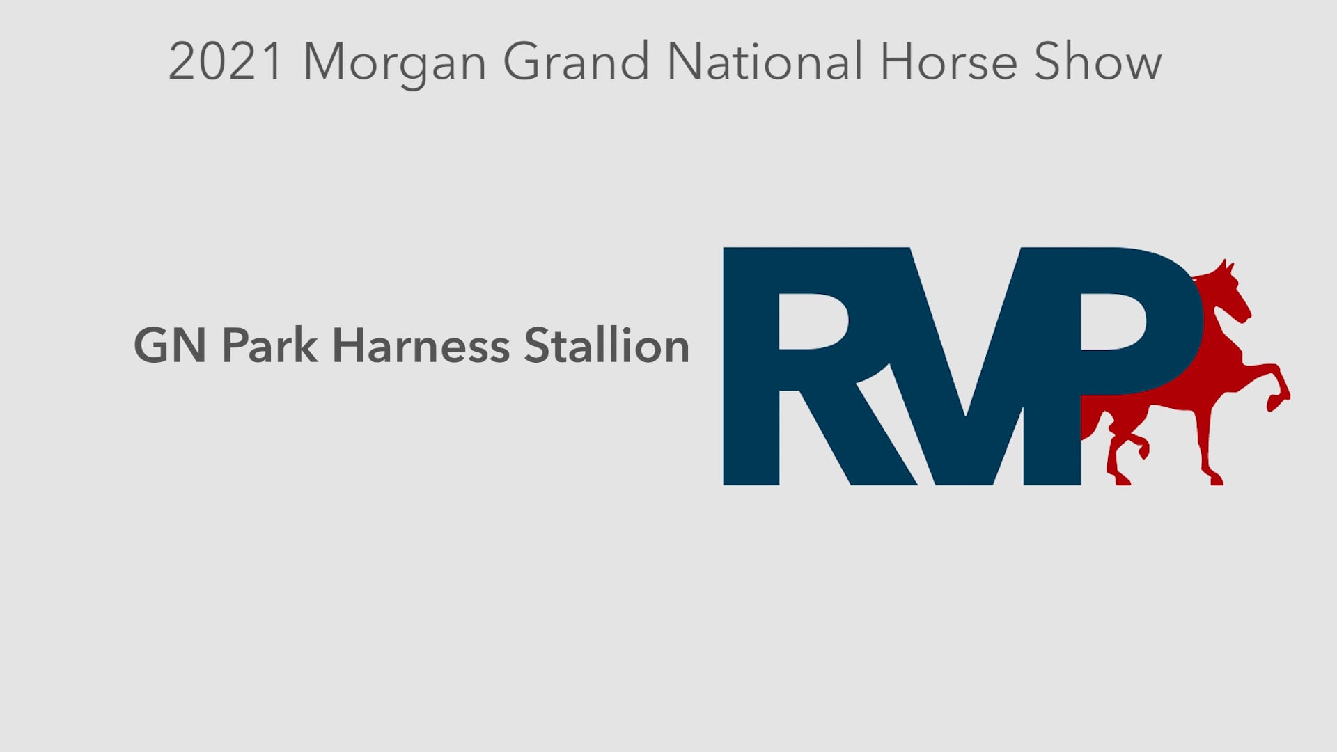MGN21 - Class 101 - GN Park Harness Stallion