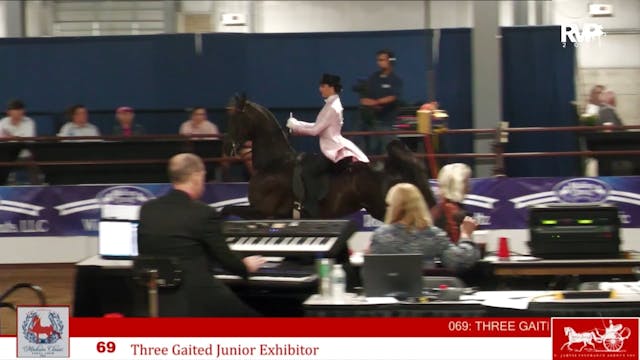 MC24 - Class 69 - Three Gaited Jr Exh...