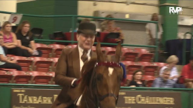 NCSC22 - Class 139 -  Reedann’s Royal...