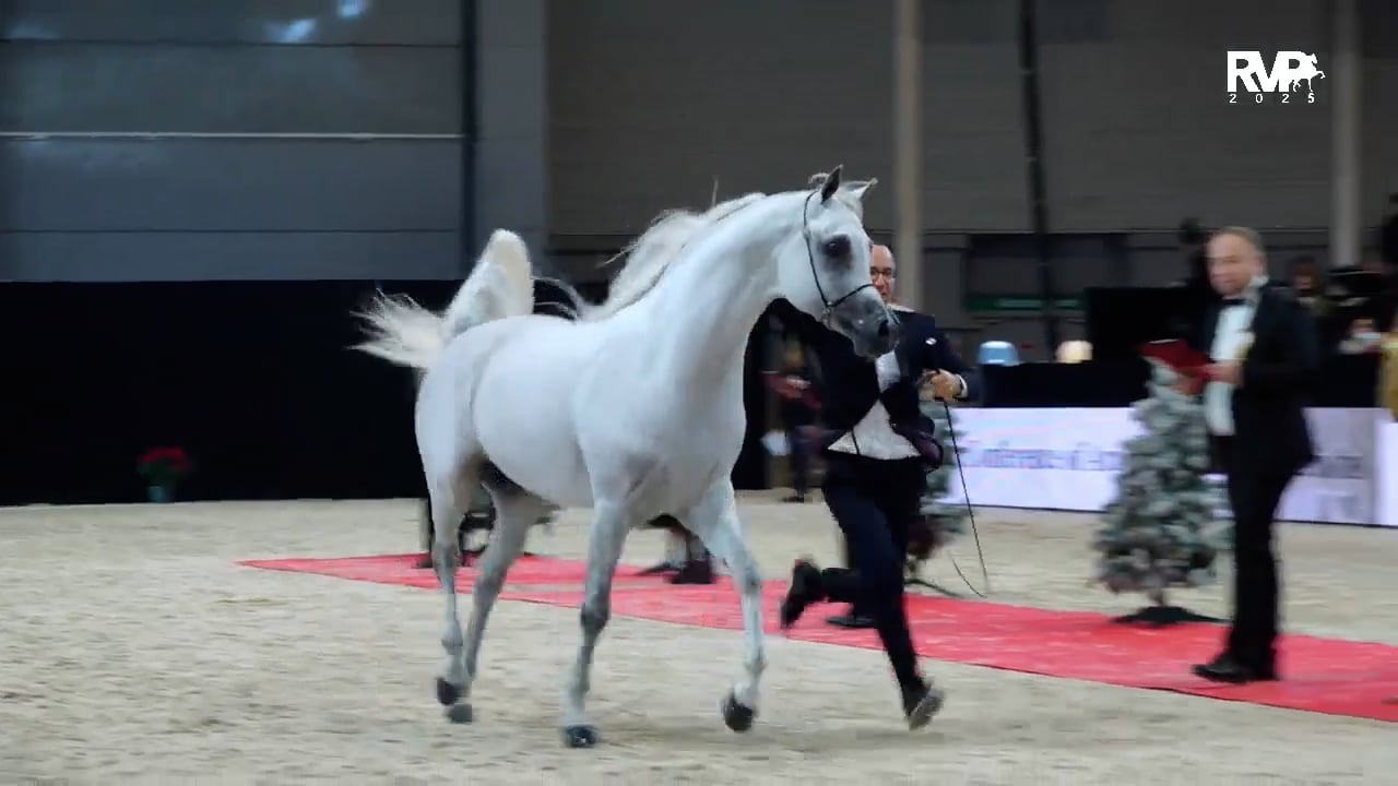 2025 World's Championship Horse Show - Monday Evening